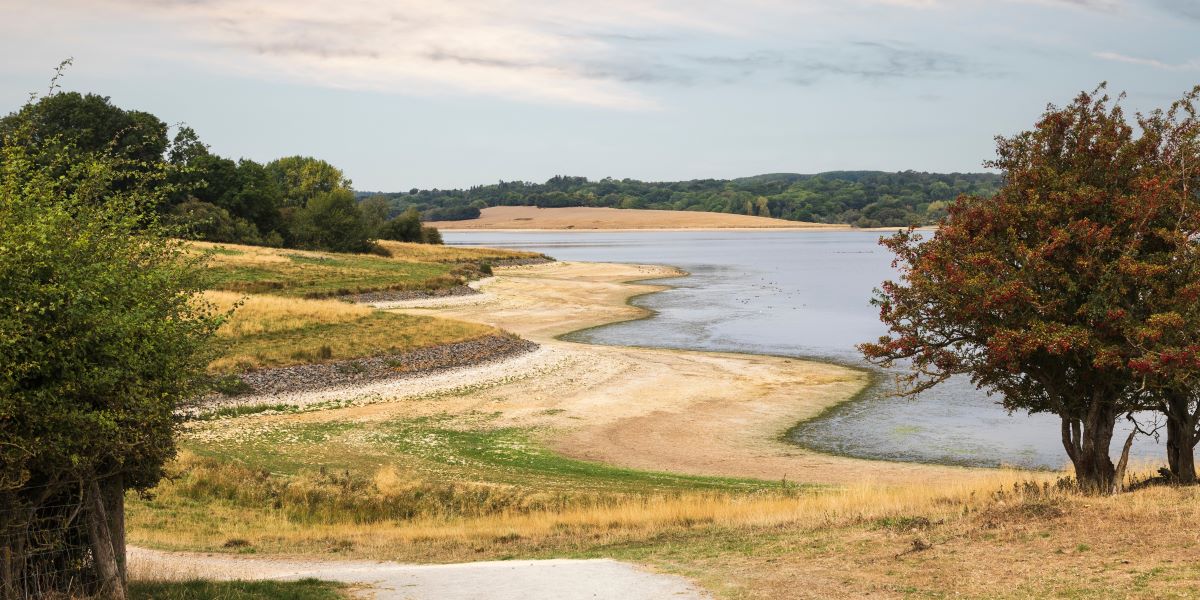 Land Business Update | Week Commencing 18 May 2026