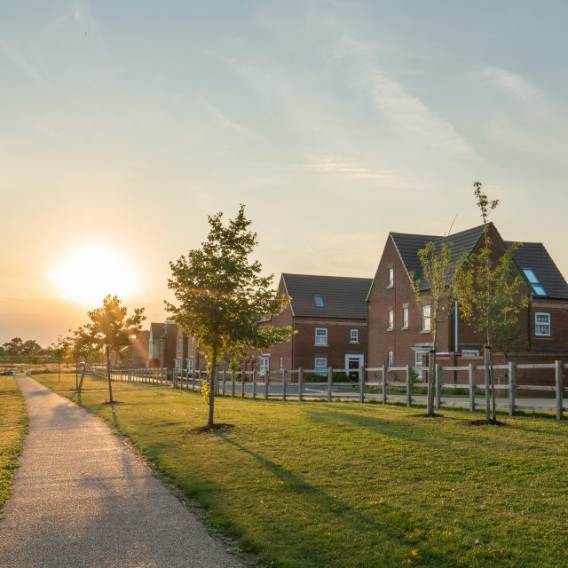 Biodiversity Net Gain reforms – key changes for landowners
