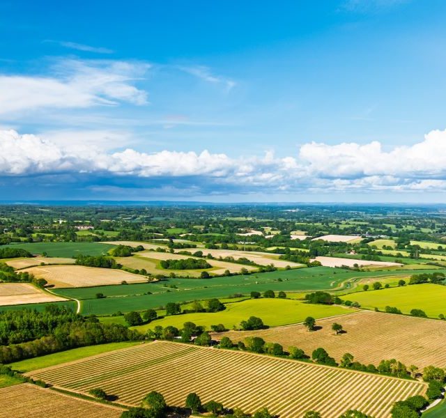 Farmers urged to check RPA records well in advance of SFI26 application
