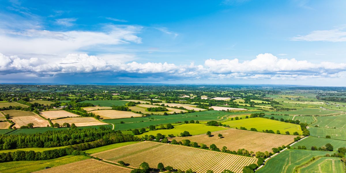 Farmers urged to check RPA records well in advance of SFI26 application