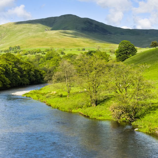 The future of rural estates: Decline or transition?