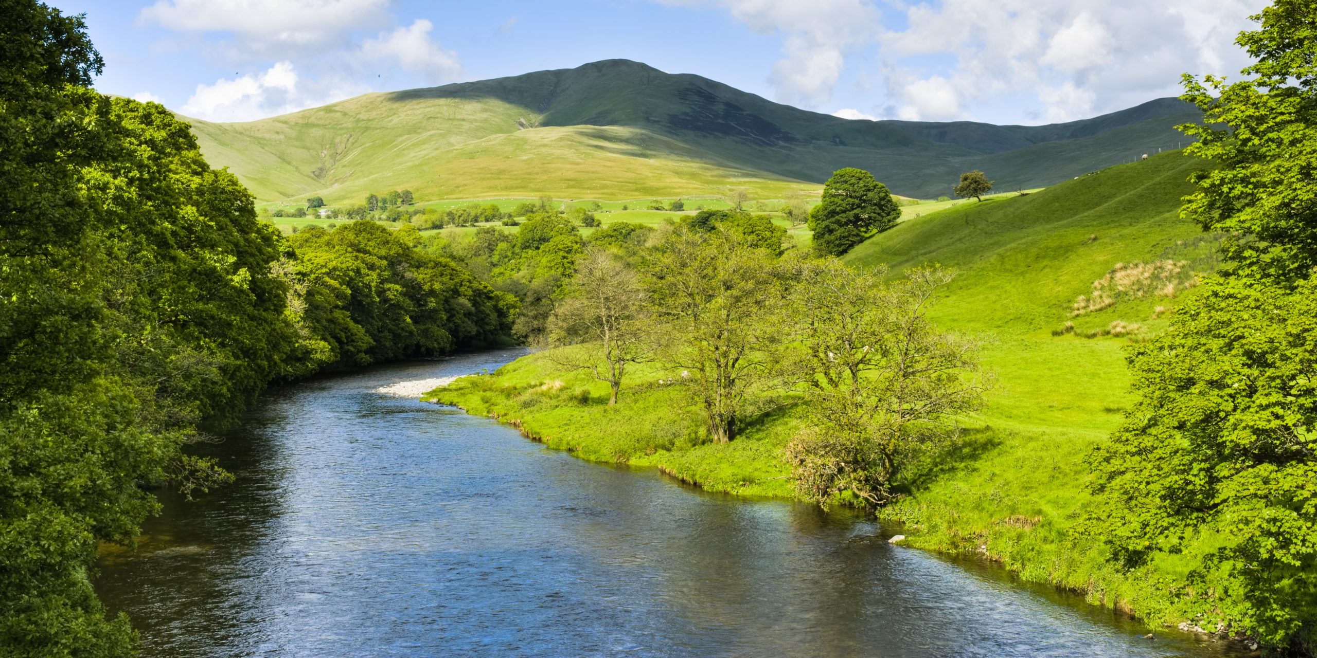 The future of rural estates: Decline or transition?
