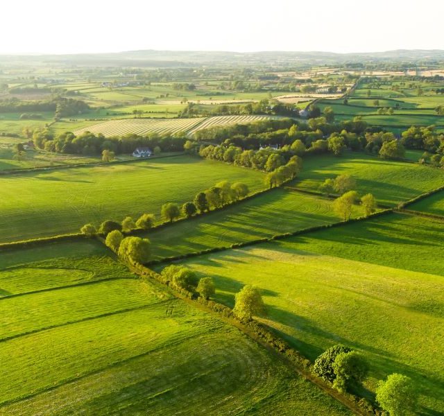 Land Business Update | Week Commencing 6 July 2026