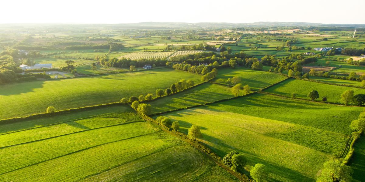 Land Business Update | Week Commencing 6 July 2026