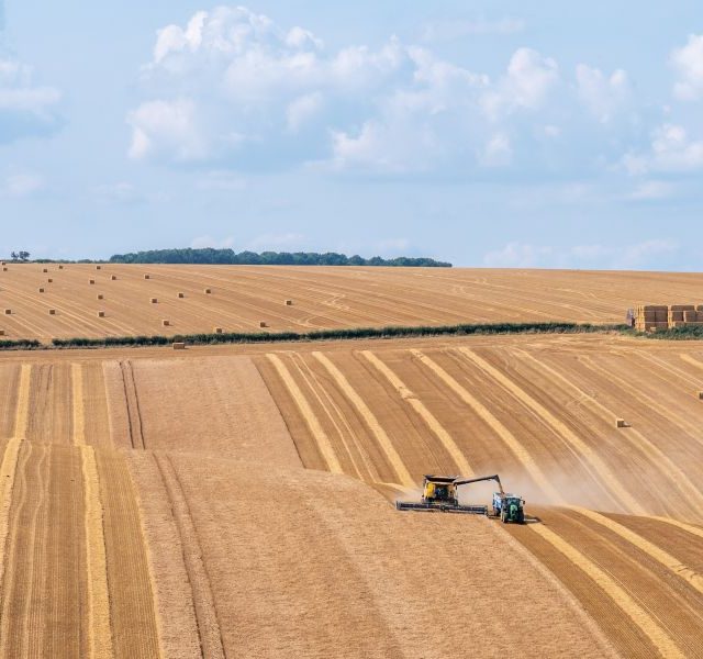 Land Business Update | Week Commencing 3 August 2026