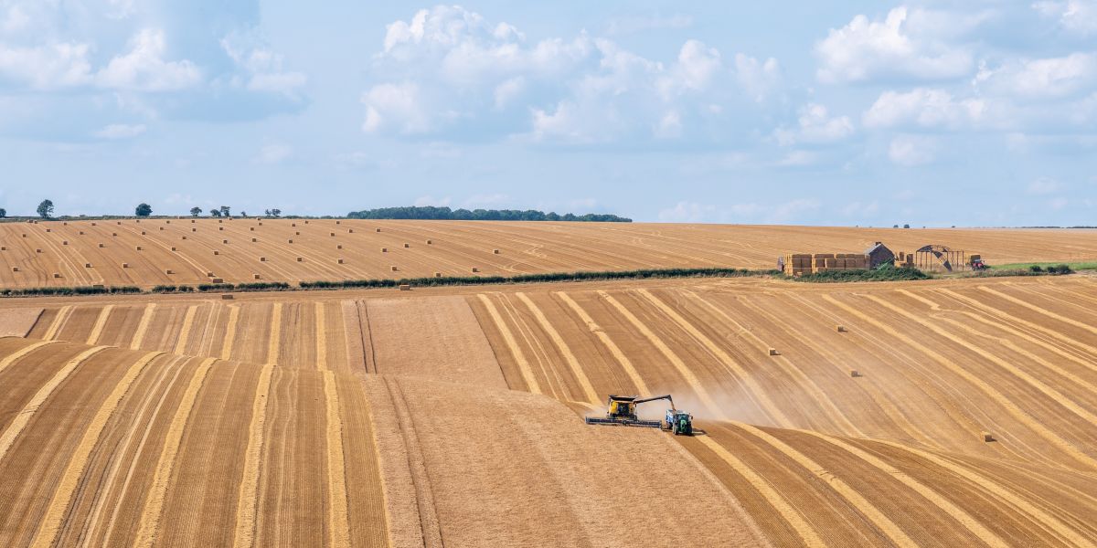 Land Business Update | Week Commencing 3 August 2026