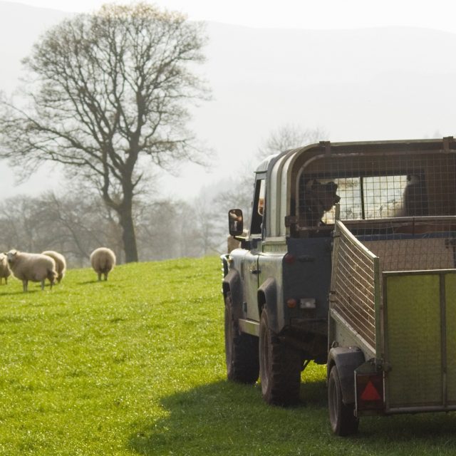 Finding a workable way forward when farm disputes escalate