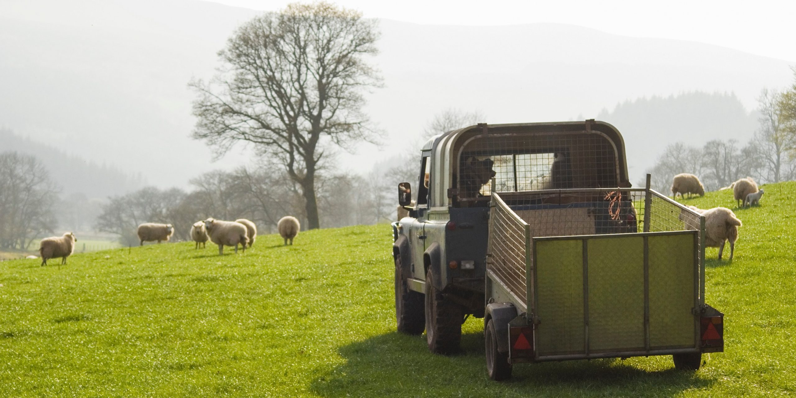 Finding a workable way forward when farm disputes escalate