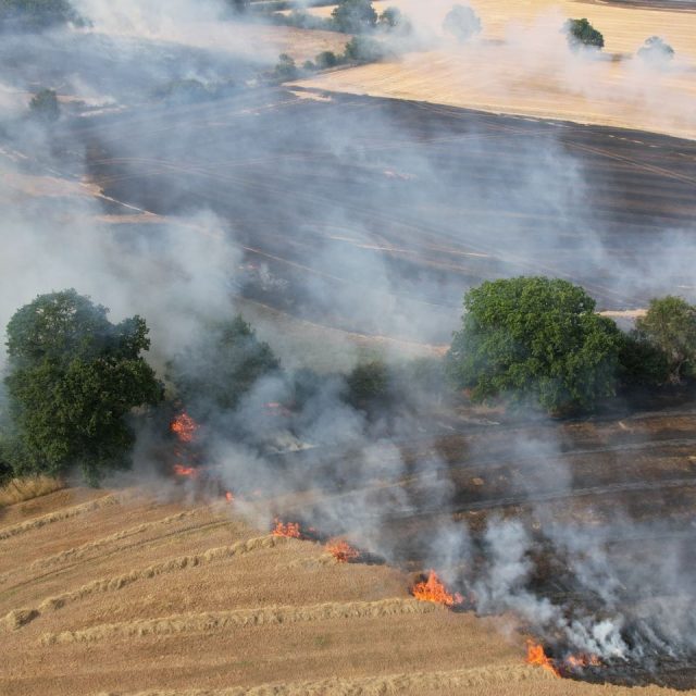 Drought support for farmers in England and Wales