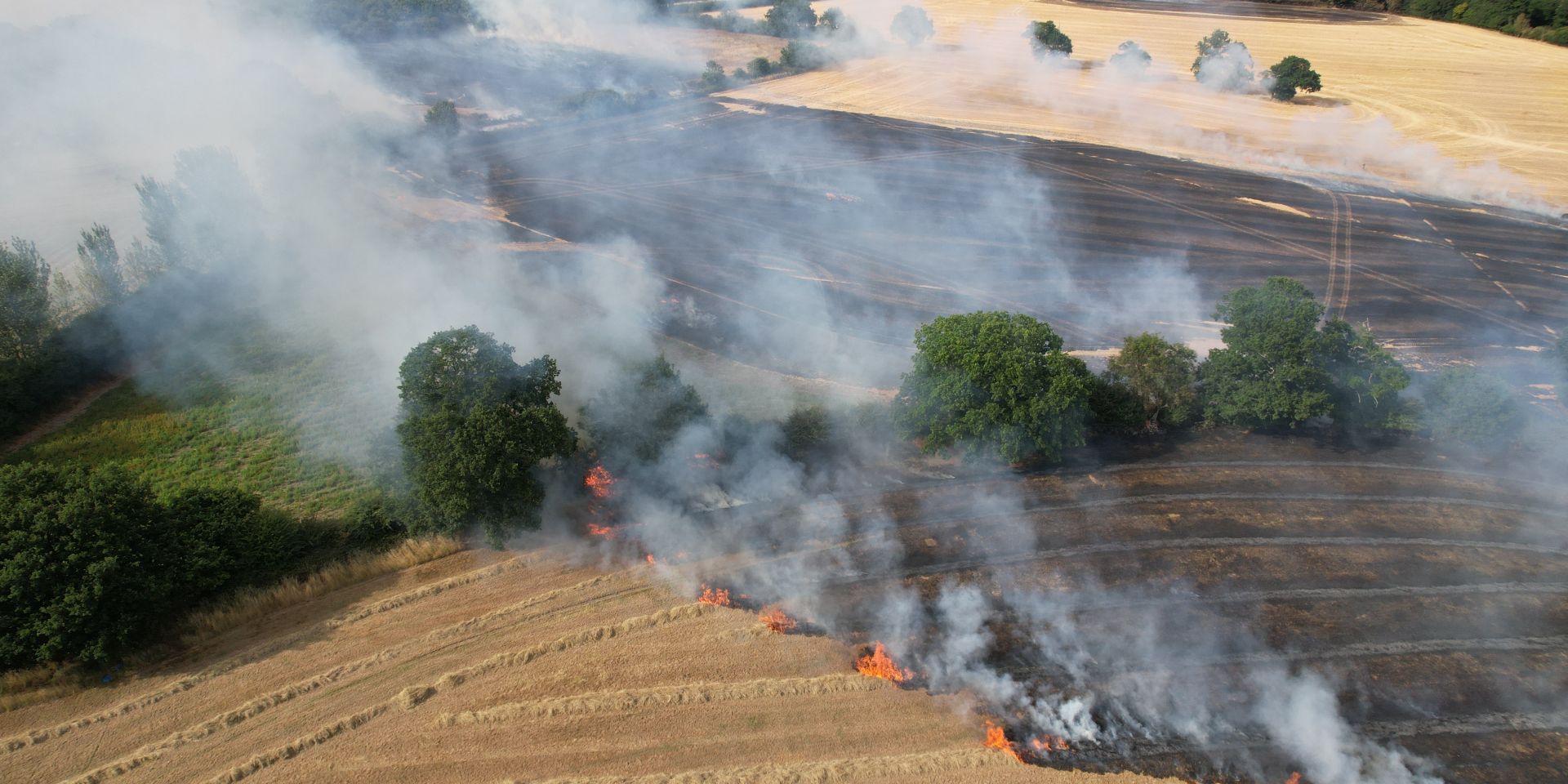 Drought support for farmers in England and Wales
