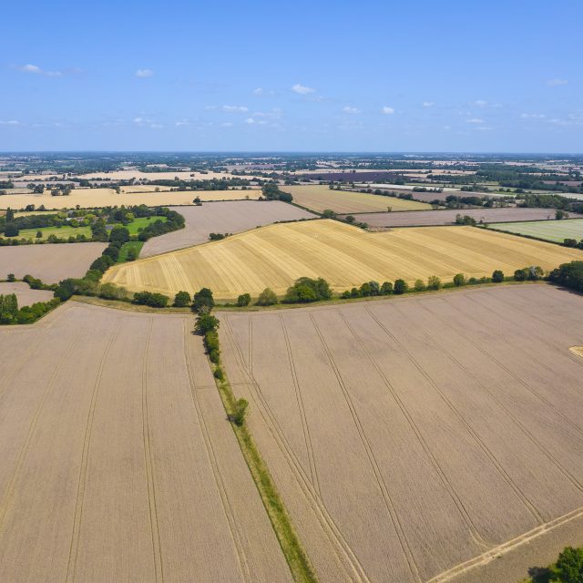 English Estates & Farmland Market Review | Summer 2026