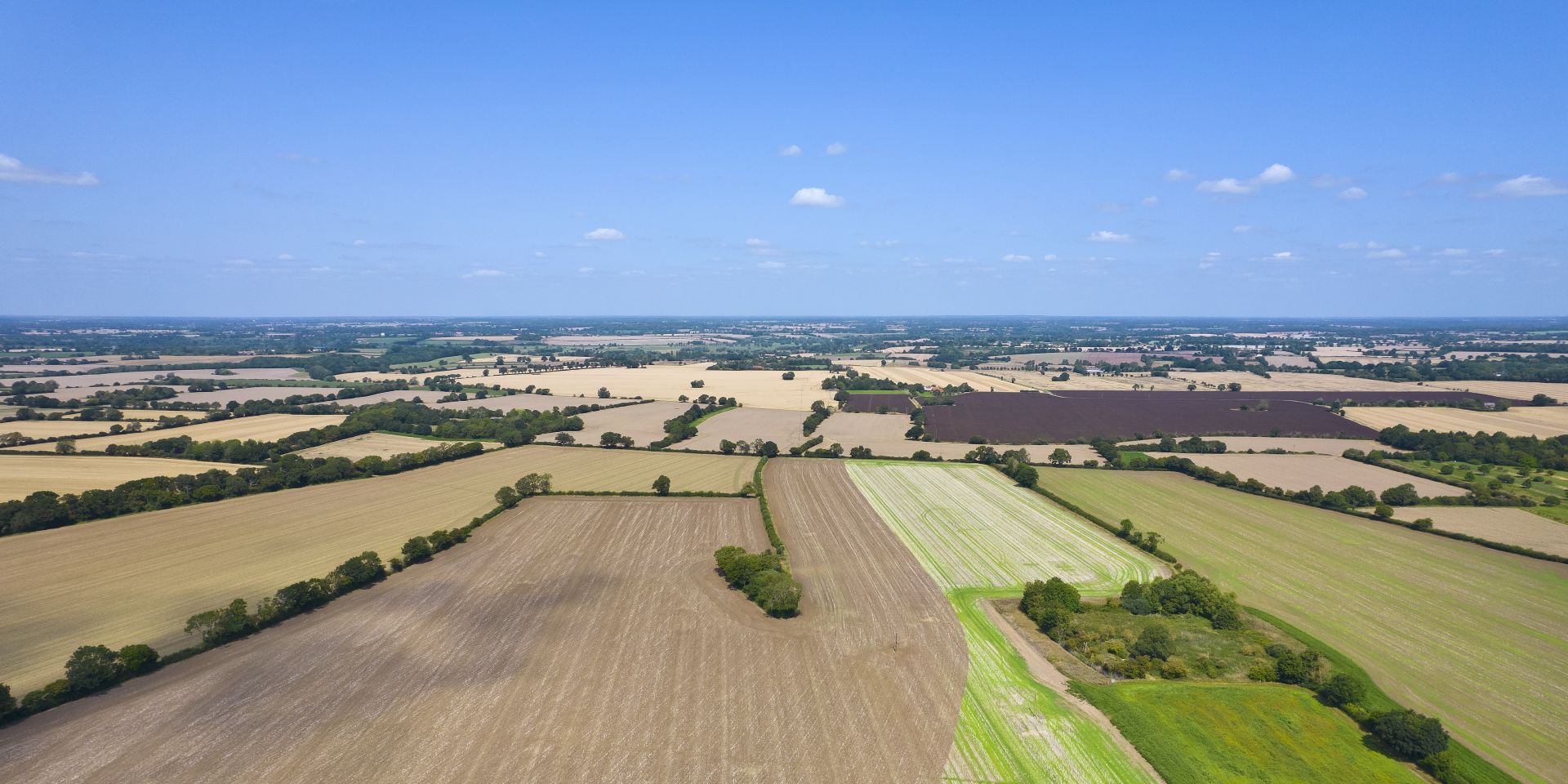 English Estates & Farmland Market Review | Summer 2026