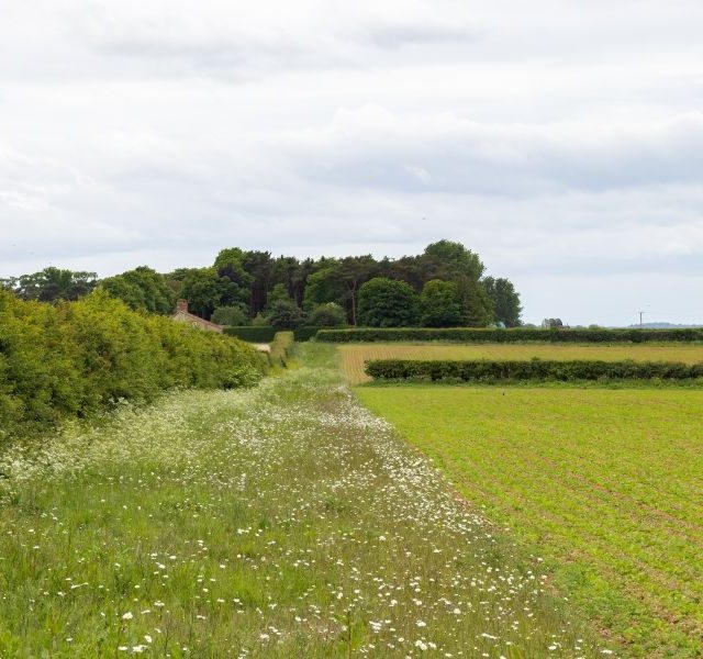 Land Business Update | Week Commencing 31 August 2026