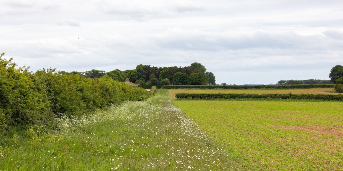 Land Business Update | Week Commencing 31 August 2026