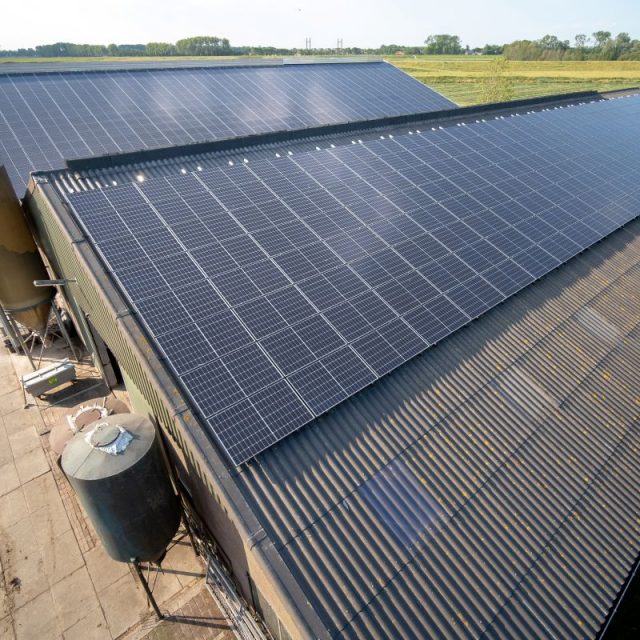Helping farms to make the right decisions on rooftop solar