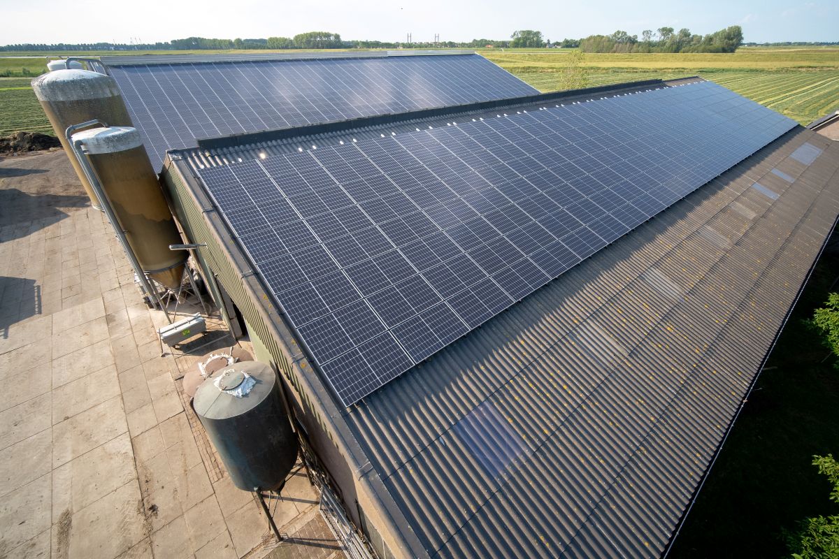 Helping farms to make the right decisions on rooftop solar
