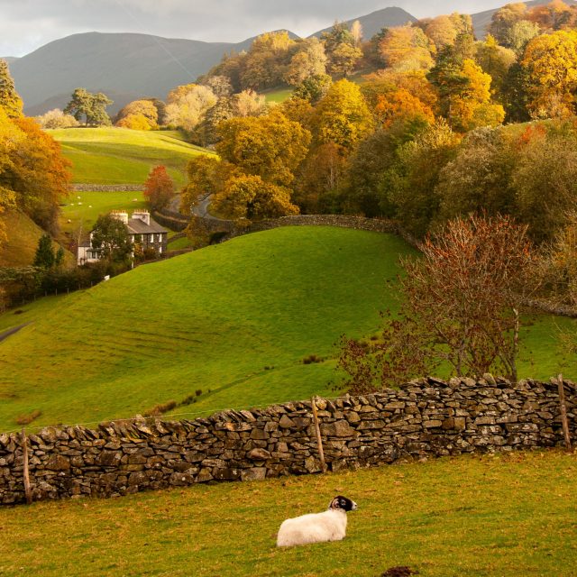 Land Business Update | Week Commencing 5 October 2026