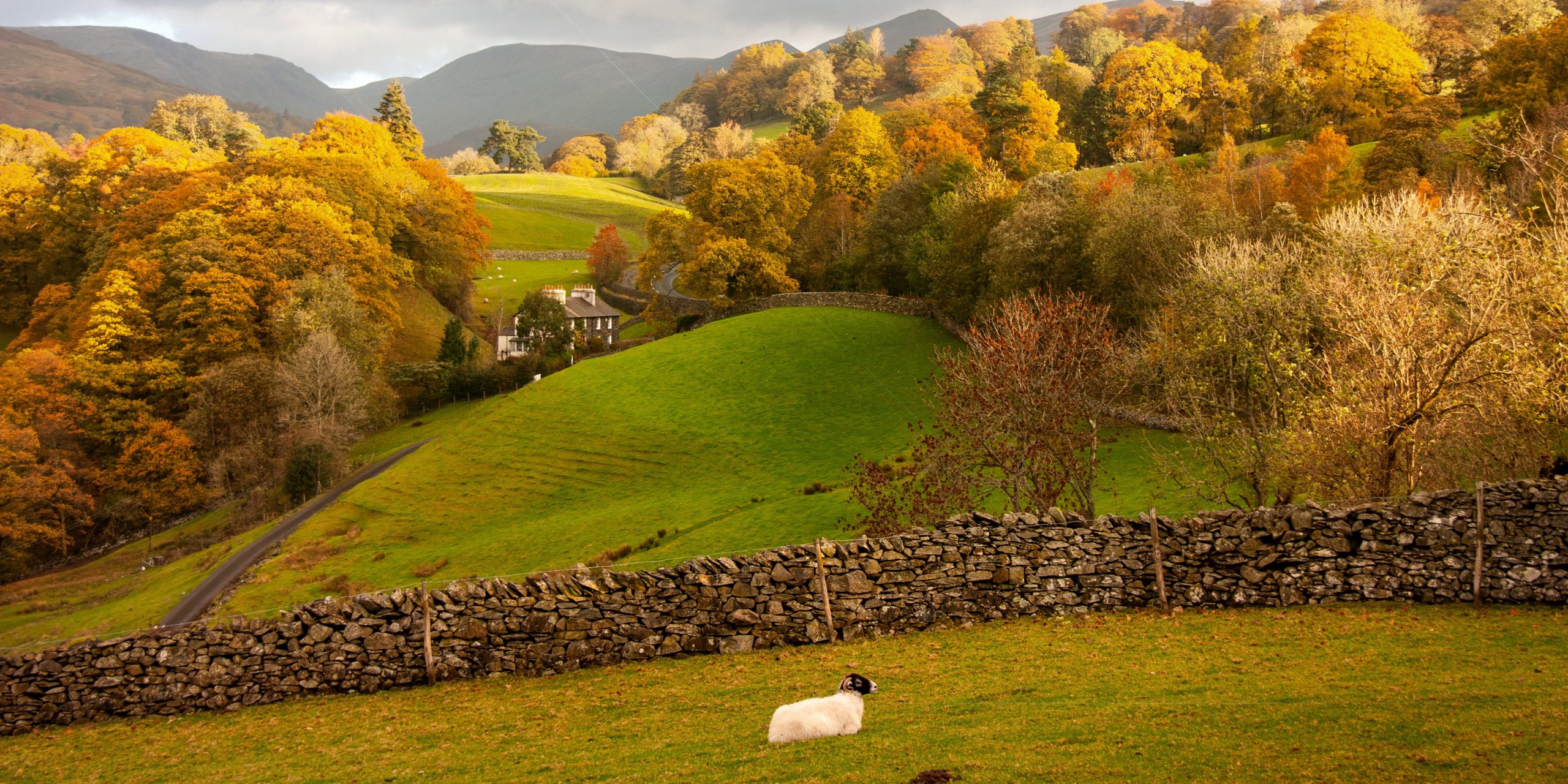 Land Business Update | Week Commencing 5 October 2026