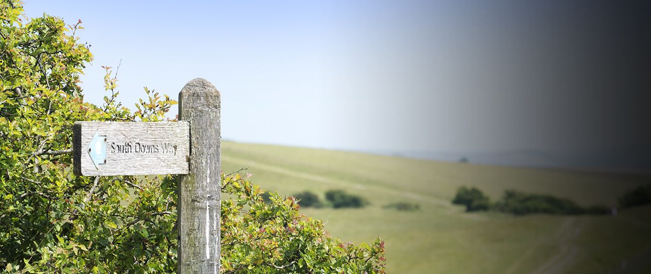 A guide to the evolving world of natural capital