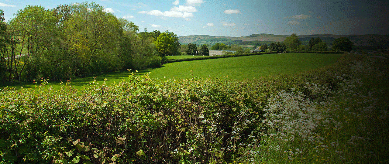 Hedge-cutting derogation reminder for farmers