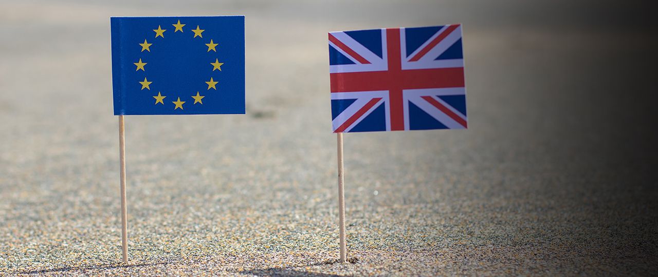 What happens if the UK leaves the EU with no deal? | January 2019