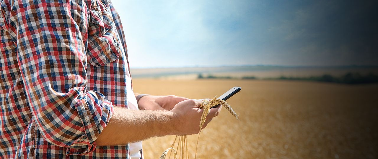 Thousands of children engage with FaceTime a Farmer project