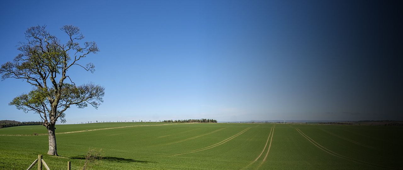 Scottish Farming Update | Spring 2019