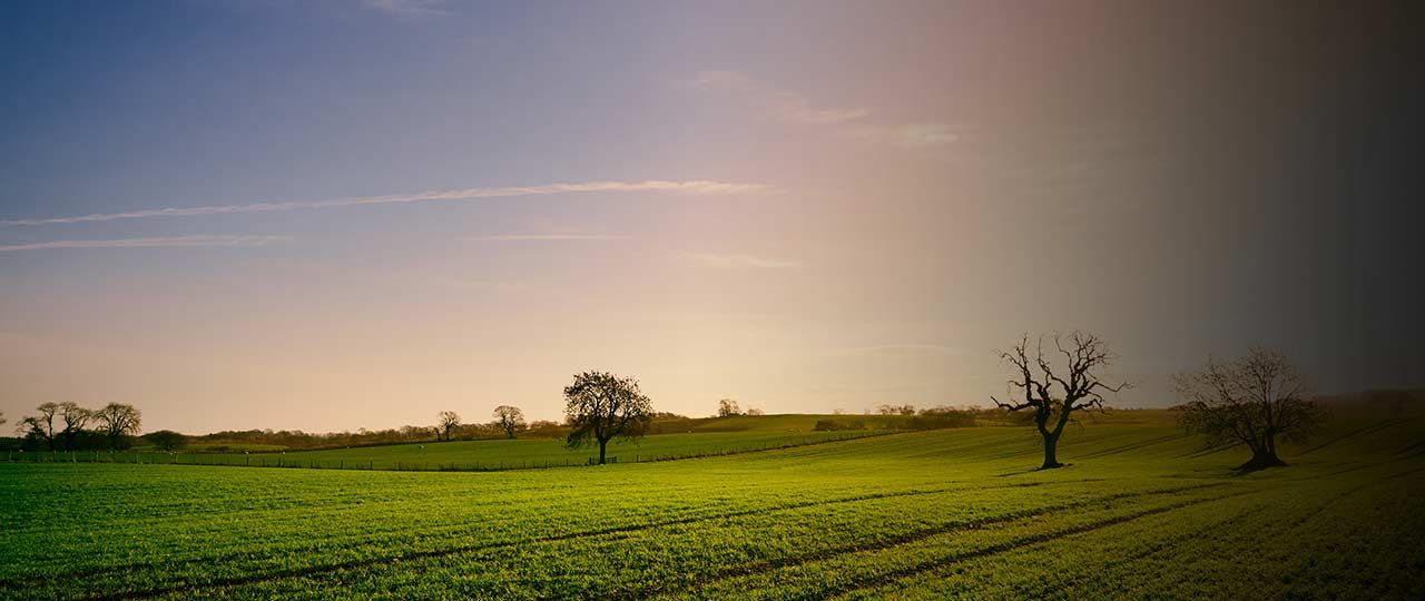 South East Estates & Farmland Market Review | Spring 2018