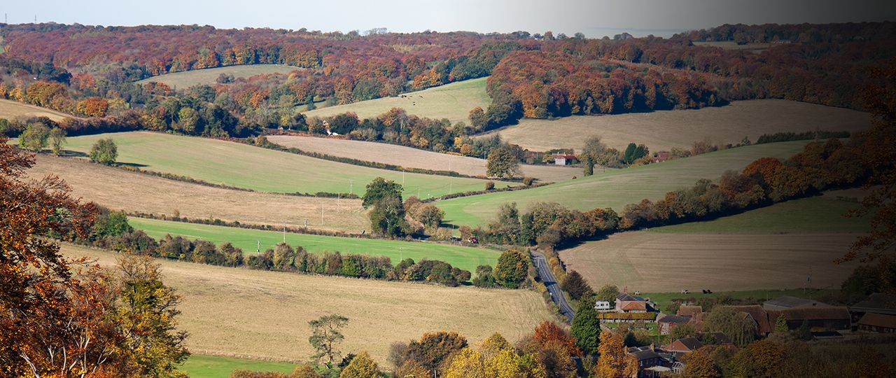 2019 application period for Countryside Stewardship opens