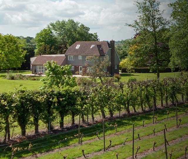 The Rise of the British Vineyard