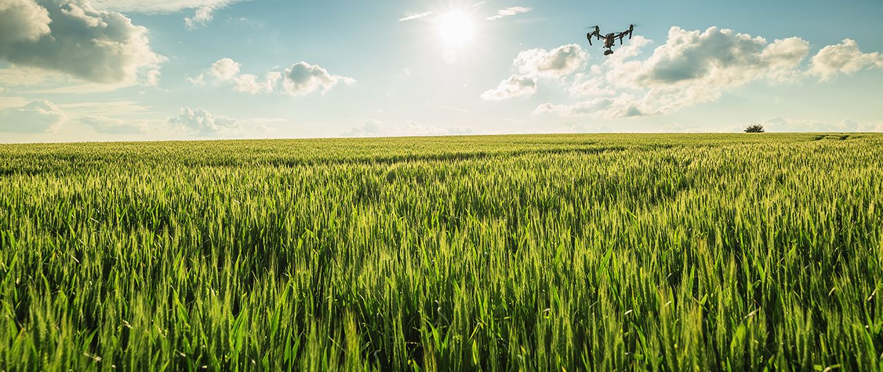 Farmers must weigh up simplicity vs choice when assessing Countryside Stewardship