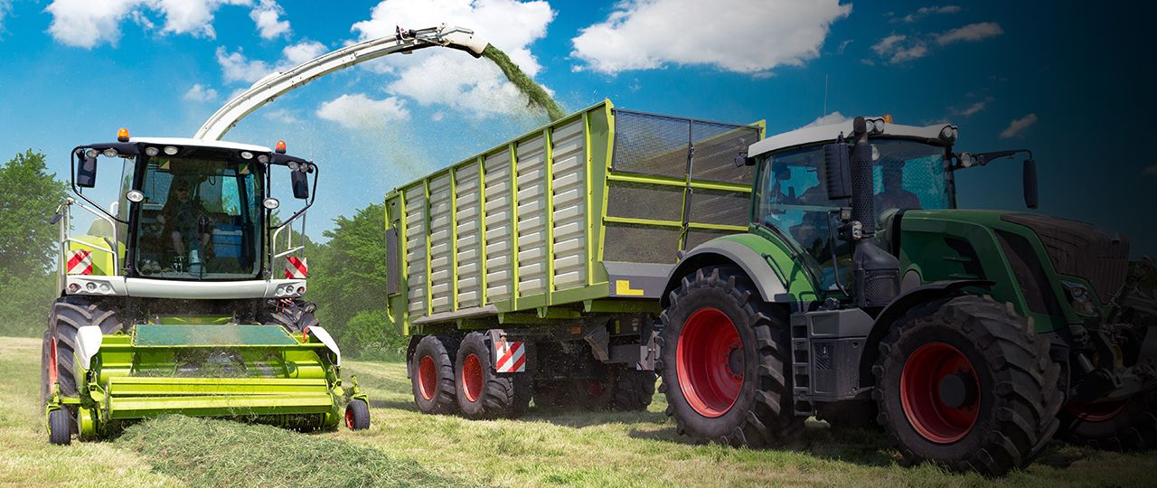 Farming Update | Summer 2019