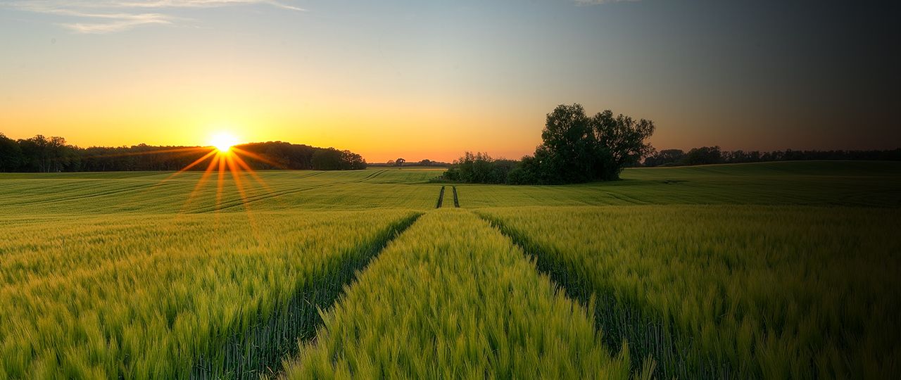 Land Business Update | Week commencing 1st July
