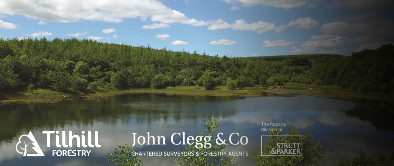 John Clegg & Co & Tilhill Forestry | UK Forest Market Report 2018